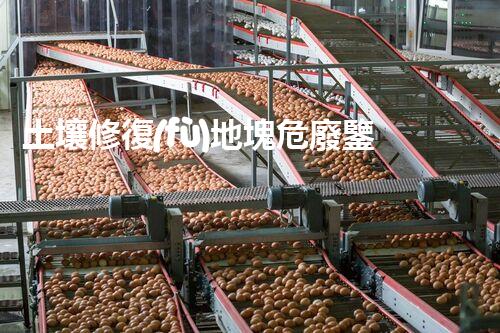 土壤修復(fù)地塊危廢鑒定流程環(huán)境衛(wèi)士：解析危險(xiǎn)廢棄物處理的革新方案！